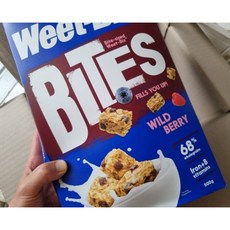 위트빅스오리지널