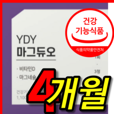 ydy 마그듀오