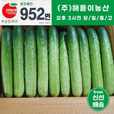 해돋이 농산 국내산 백오이 백다다기 다다기오이 특품 1박스 45개내외(43~50), 1개