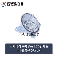 스카니아핀홀카메라