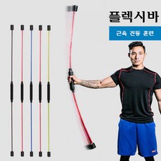 라비로스 플렉시바 코어트레이닝 진동운동 전신운동 스트레칭