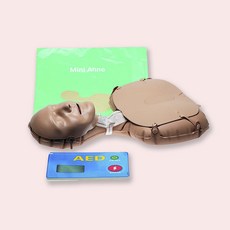 소방감리업