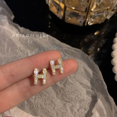 은침h귀걸이