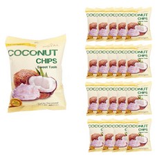 코코넛 칩 추천 순위 5