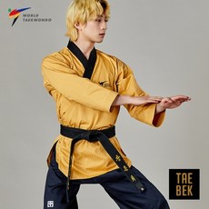 무토 태백2.1 품새 도복_고단자_품새도복