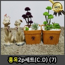 7ee153fbda7cf0ed6274ae83906cb42997b2dc4437c31a74fef9ca53914c.jpg
