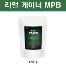 래디컬mp