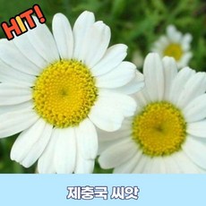 11839bd09110e5ef25d19a9718a1b9f385038857c497db5787a304436bf3.png