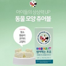 토탈스위스코리아