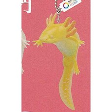 네이처 테크니컬러 MONO 우퍼 루퍼와 벨츠 노가엘 볼 체인＆마그넷 3：우퍼 루퍼(골든) 볼 체인 이키몬, 1개