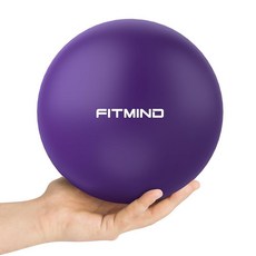  FITMIND 25cm 필라테스 볼-블랙, 퍼플 