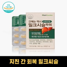 지방간