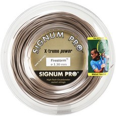 시그넘프로파이어스톰