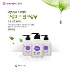 보령머드 탈모샴푸 500ml, 단품, 단품