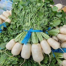 초롱무 1단 (3kg내외)