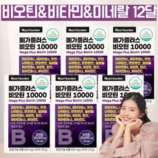 베트남10000일의전쟁