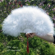 화려한부채