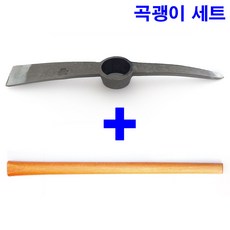 곡괭이이모