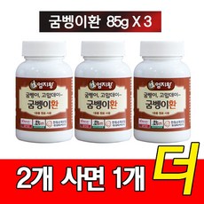 굼벵이환 85g 2+1 (꾸준히 드셔보세요) 건강환