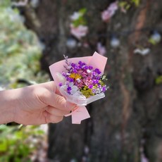 미니액자납골당카네이션