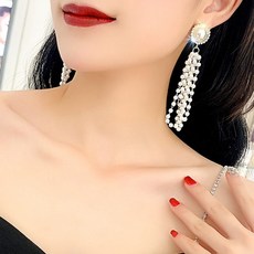 진주귀걸이로이드