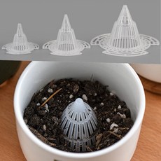 베란다화초키우기