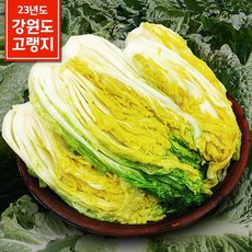추천3 강원도절임배추20kg