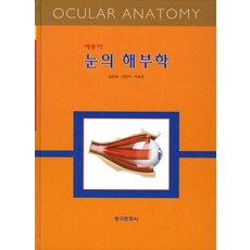 눈의 해부학, 청구문화사, 김진숙,신진아,이옥진 공저