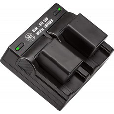 BM Premium 2 BP-718 Batteries and Dual Charger for Canon Vixia HFR80 HFR82 HFR800 HFR70 HFR72 HFR700 HFR32 HFR300, 단일옵션