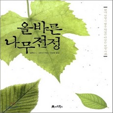 가시나무새책