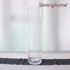 이누스프로베이직