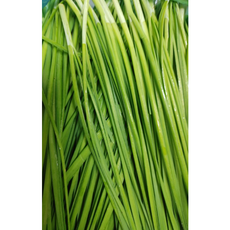국산 친환경 부추 4kg 전라도 싱싱한 최상품 부추(정구지) 4kg 부추전, 1개