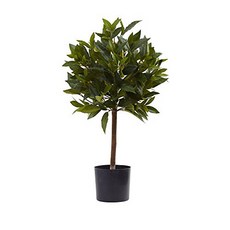 Nearly Natural Sweet Bay Mini Ball Topiary 2' 거의 내추럴 한 스위트 베이 미니 볼 토피어리 2 ', 1