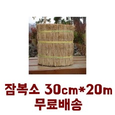 958630b6328973565a848bdbf23bd3482fd261fc0cc52b68af3f2060cd07.jpg