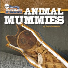 Animal Mummies Library Binding, Cherry Lake Publishing, English, 9781534180390
