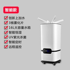 일렉트로룩스가습기