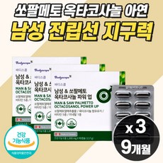 영양치료의힘