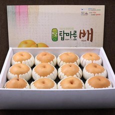 익산원예농협수박