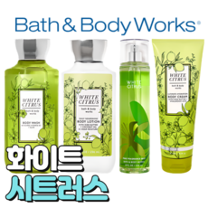 배스앤바디웍스 BBW 향기로운 화이트 시트러스, 바디워시, 1개, 295ml - 버디비스와들