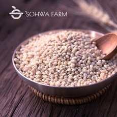2024년 국산 햇 찰보리쌀 2kg 5kg, 찰보리2kg, 1개