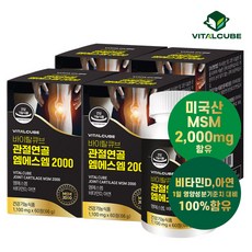 [바이탈큐브] 관절연골 엠에스엠 2000 60정x4개(4개월)