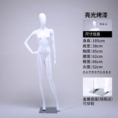 빛전시회