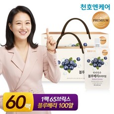 정성담은블루베리