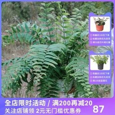 0ec8cb5713970028bfe57eb190653bd70efc290aabaf2745a06a2c1f9564.jpeg