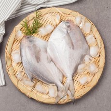 국내산병어 300g(2마리)×9팩, 단일옵션, 9개