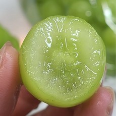 [극Brix] 천상의맛 최고당도 아삭아삭 애플청포도, 1박스, 애플청포도 500g