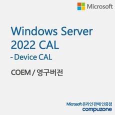 [마이크로소프트] Windows Server 2022 Device CAL [COEM(DSP)/5CAL추가용/한글]