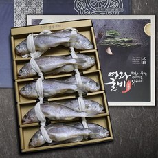 가인팜토마토