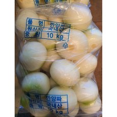 [프래시그린] 양파 10kg (무료배송) 10kg 1개