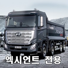 엑시언트 후방카메라 (순정카메라교체용)